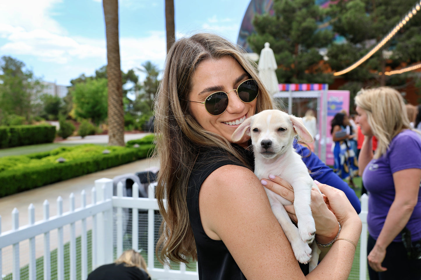 Puppy Lounge
